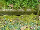 image of grave number 240921
